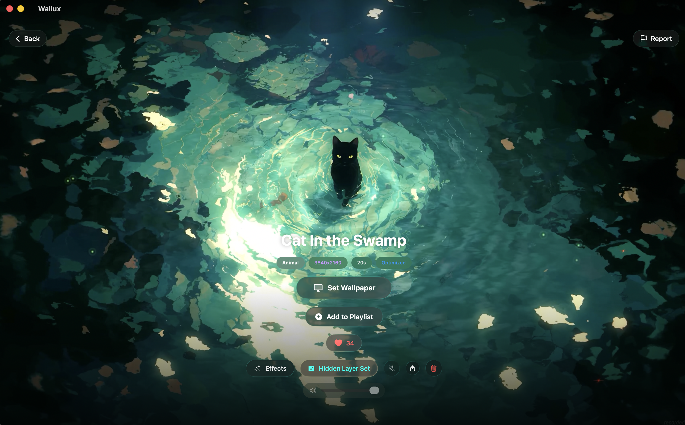 Underlayer reference for the hidden wallpaper in Wallux Brush Reveal